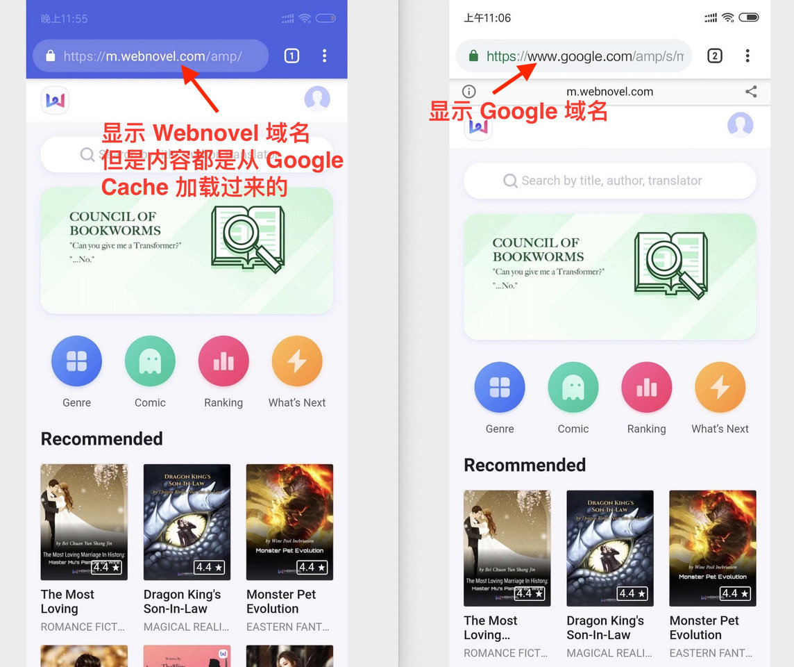 图 3：AMP SXG VS AMP